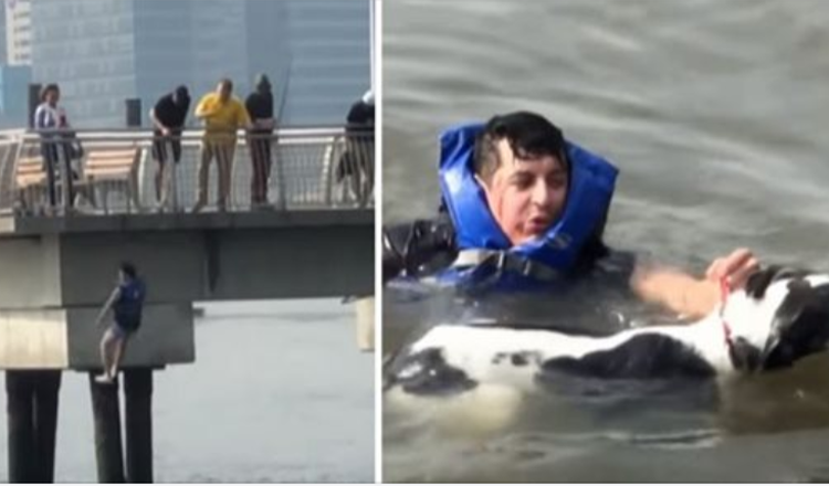 L’uomo lascia la sua festa di compleanno per salvare il cane dall’annegamento nel fiume