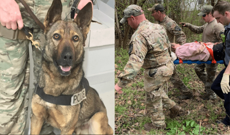 Hero German Shepherd trova una signora di 90 anni che si è persa nella foresta durante la notte