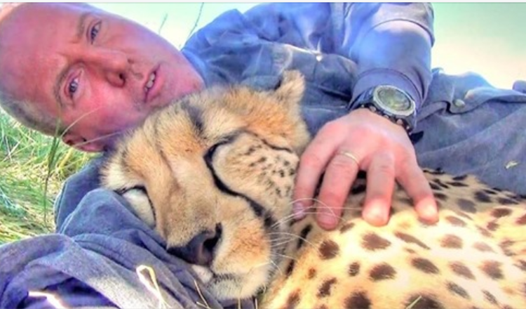 Cheetah vede un fotografo naturalista sonnecchiare sotto un albero, decide di unirsi a lui e fare anche un pisolino