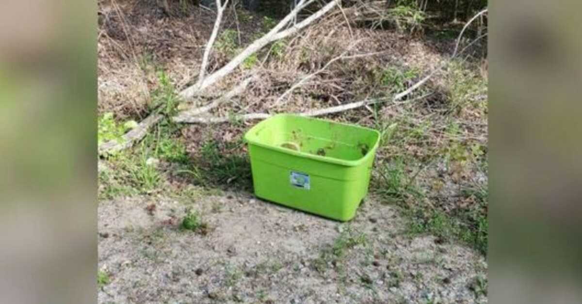 Le persone trovano la cosa più triste in questa scatola in un giorno di 90 gradi