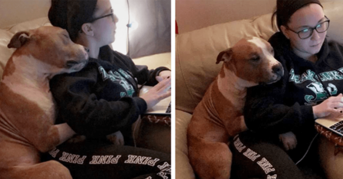 Una donna ha adottato un pitbull e la loro prima foto ha fatto il giro di Internet