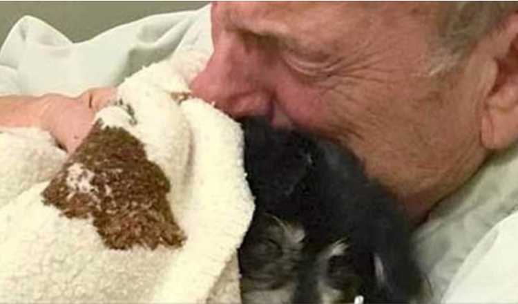 Uomo muore dopo aver perso l’amato amico a quattro zampe di 14 anni