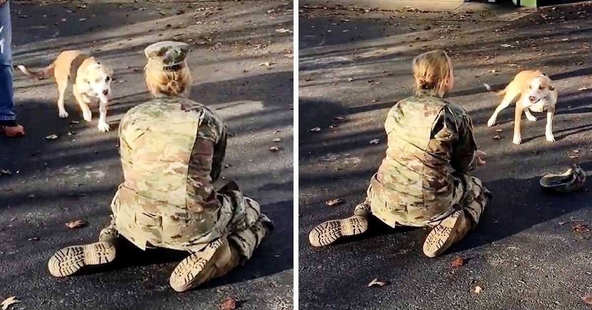 Quando il suo cane la rifiuta al suo ritorno, una mamma dell’esercito si arrabbia e si toglie il cappello