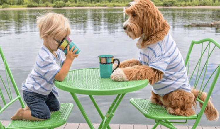 Un bambino di 3 anni forma un legame adorabile con il cane da salvataggio della sua famiglia adottiva