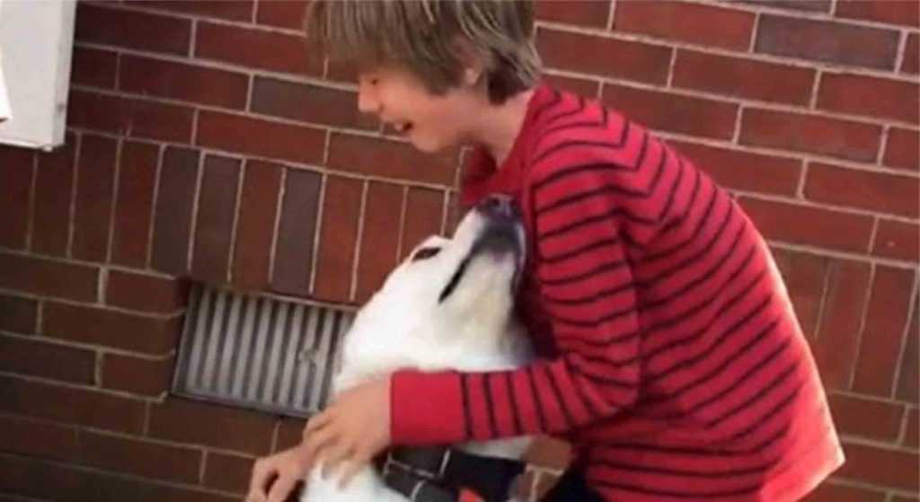 Il ragazzo è in lacrime mentre si riunisce con il suo migliore amico cane dopo un anno di distanza