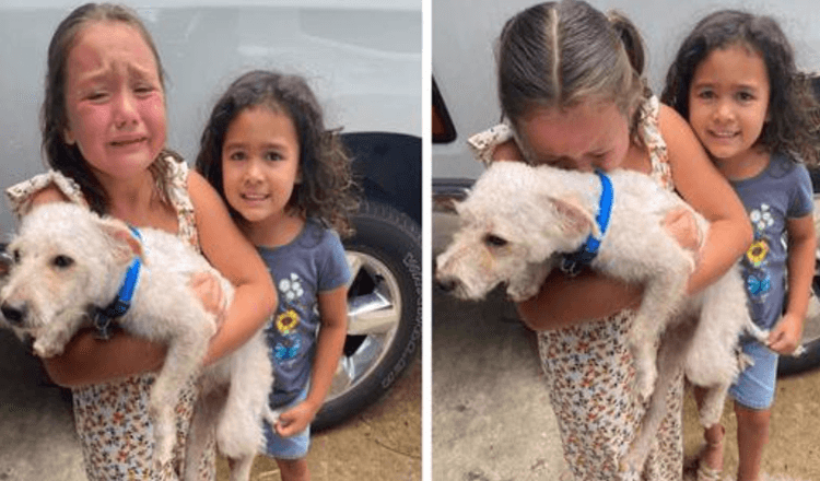 La bambina non riesce a smettere di piangere lacrime di gioia quando il suo cane smarrito viene finalmente ritrovato