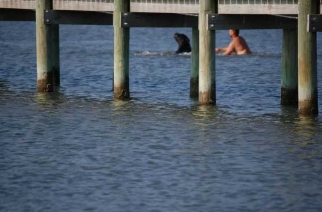 L’uomo vede un orso che sta annegando e rischia la vita per salvarlo