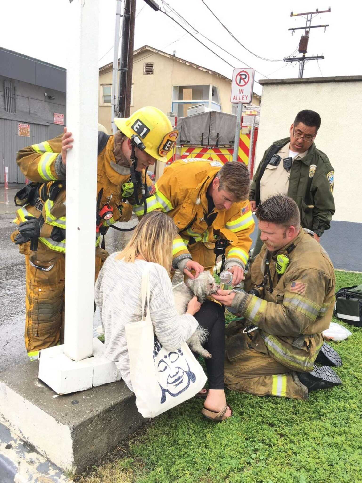 Il vigile del fuoco si rifiuta di rinunciare al salvataggio del cagnolino dopo aver bruciato la casa